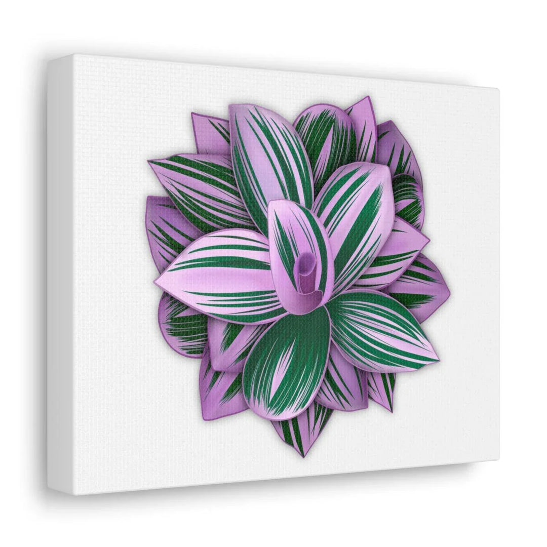 Tradescantia Nanouk Canvas – Botanical Canvas Art Print | Matte Finish Wall Decor - Laura Christine Photography & Design