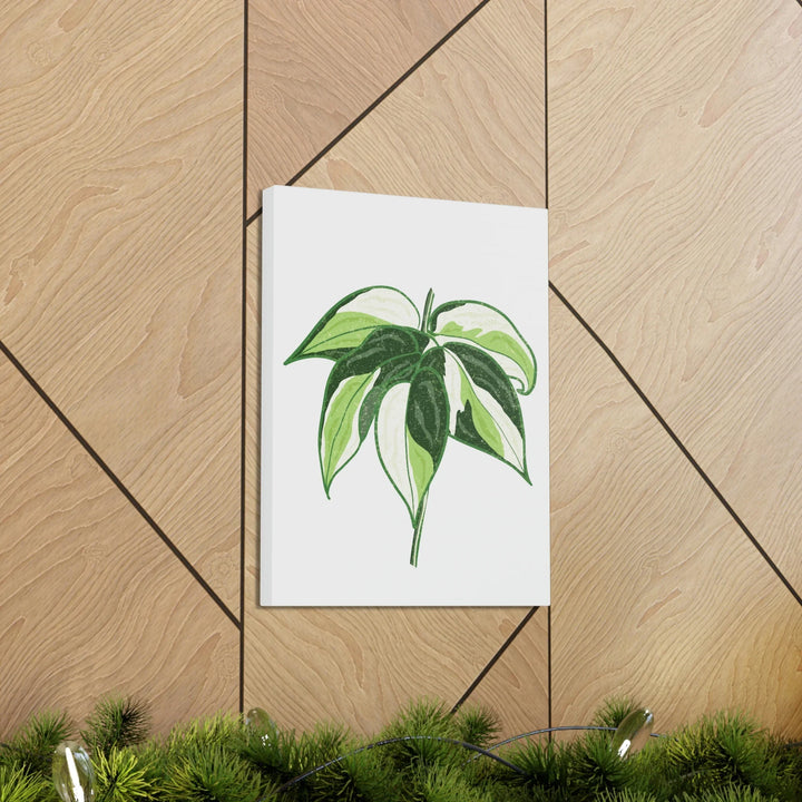 Philodendron Canvas Print - Cream Splash Variegated Plant Art on Matte Cotton Canvas