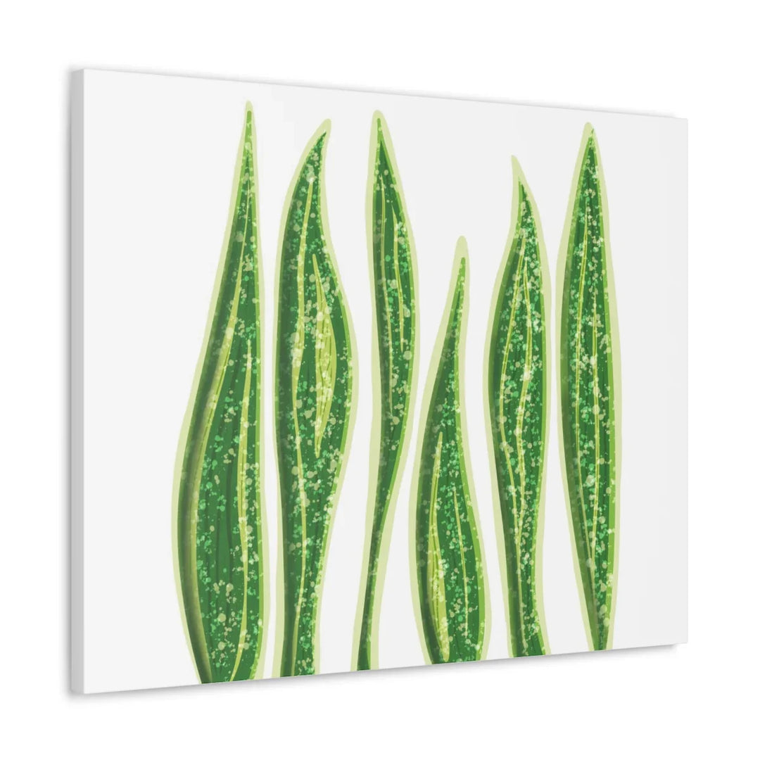 Snake Plant Canvas | Botanical Canvas Decor - Matte Finish Artwork for Living Room - Laura Christine Photography & Design
