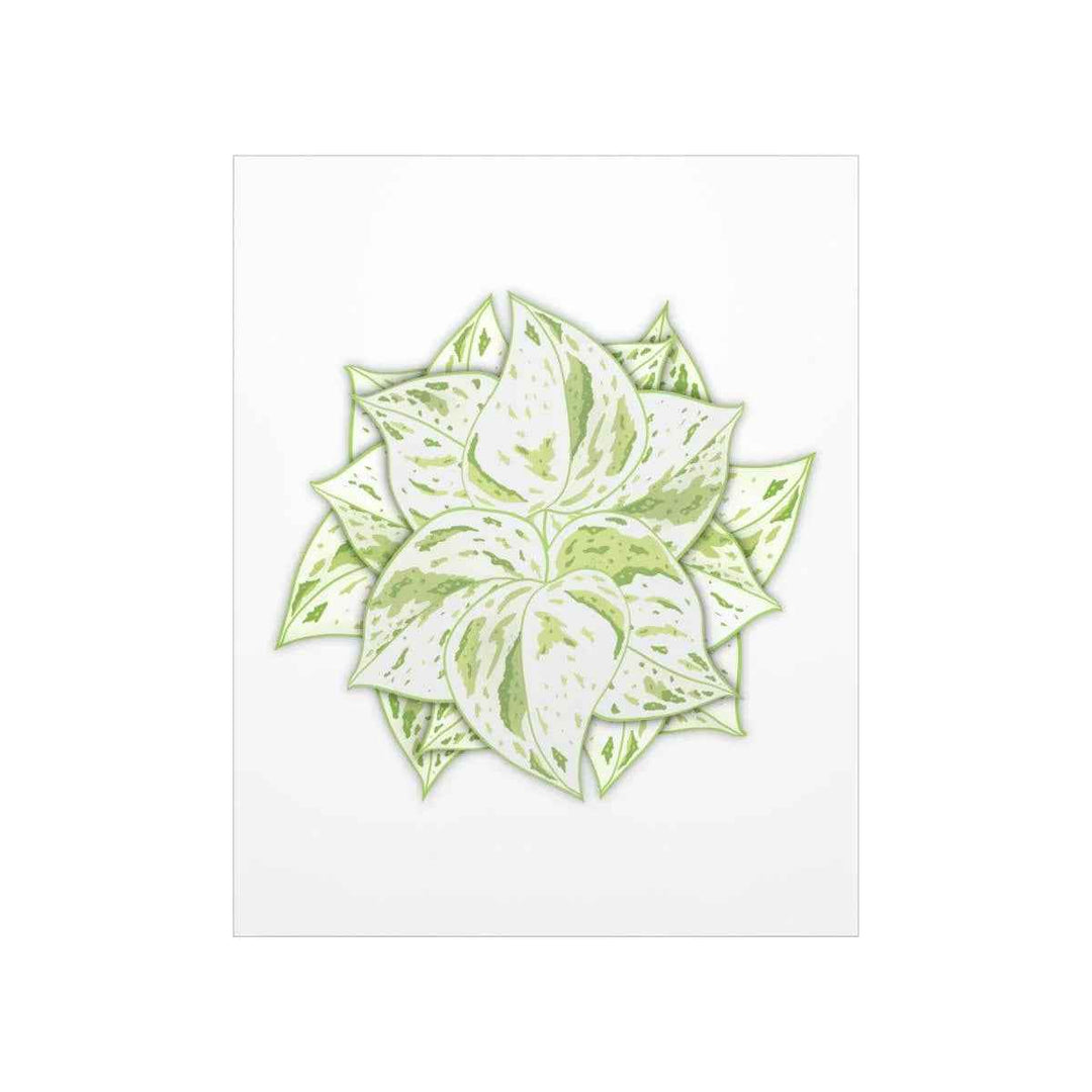 Snow Queen Pothos Print – Variegated Pothos Art on Museum Grade Paper Unframed
