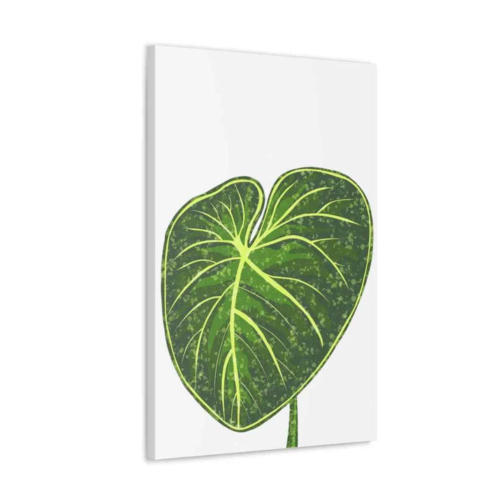 Philodendron Gloriosum Canvas - Stretched Canvas Art Print | Matte Indoor Wall Art