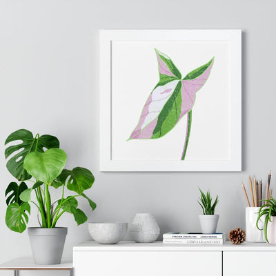 Syngonium Tricolor Framed Print, Poster, Laura Christine Photography & Design, Framed, Home & Living, Indoor, Paper, Posters, Laura Christine Photography & Design, laurachristinedesign.com