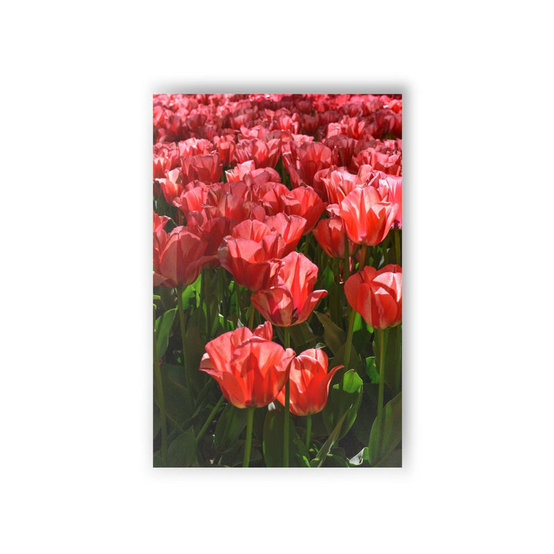 Pink impression tulips - Postcard, 10-pack, Paper products, Printify, Back to School, Home & Living, Indoor, Matte, Paper, Posters, Laura Christine Photography & Design, laurachristinedesign.com