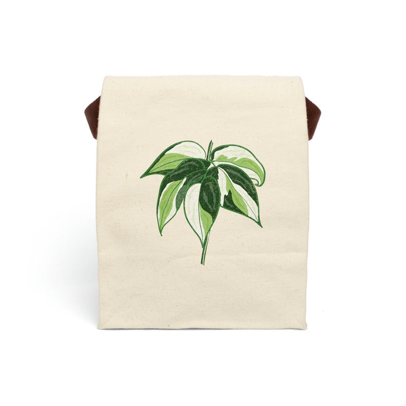 Philodendron &