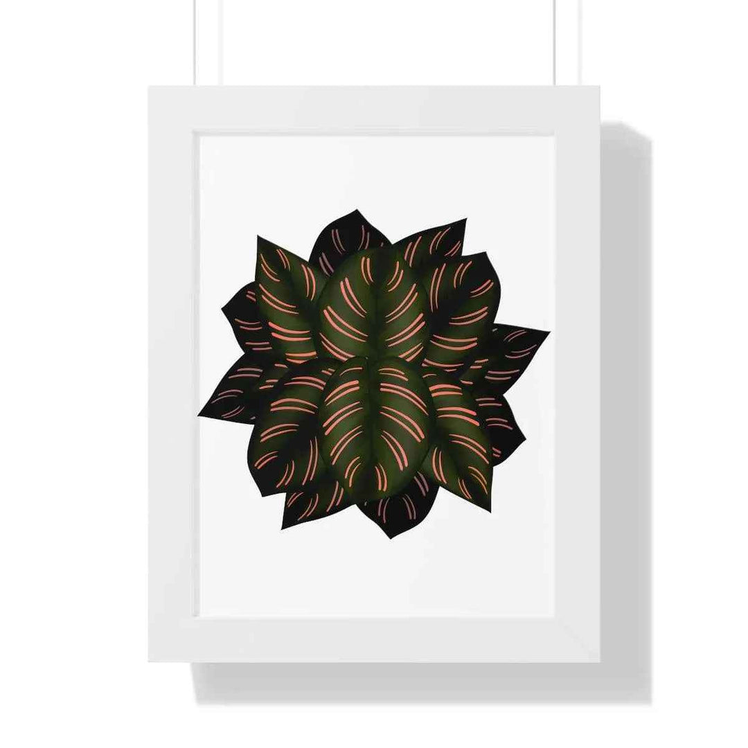 Calathea Pinstripe Print - Framed Botanical Art With Matte Finish & Acrylic Cover