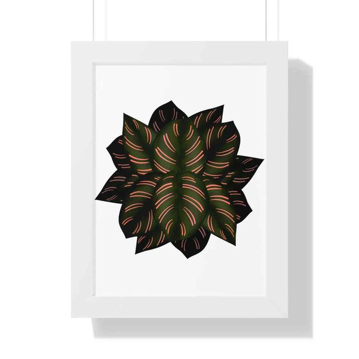 Calathea Pinstripe Print - Framed Botanical Art With Matte Finish & Acrylic Cover