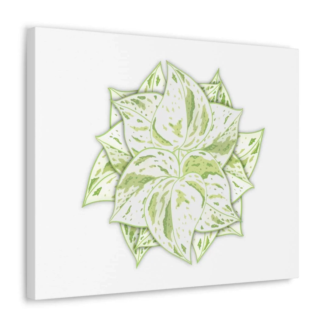 Snow Queen Pothos Canvas – Variegated Leaf Canvas Art Print | Durable Cotton - Laura Christine Photography & Design