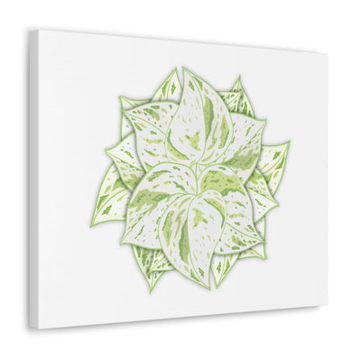 Snow Queen Pothos Canvas, Canvas, Laura Christine Photography & Design, Art & Wall Decor, Canvas, Hanging Hardware, Home & Living, Indoor, Laura Christine Photography & Design, 