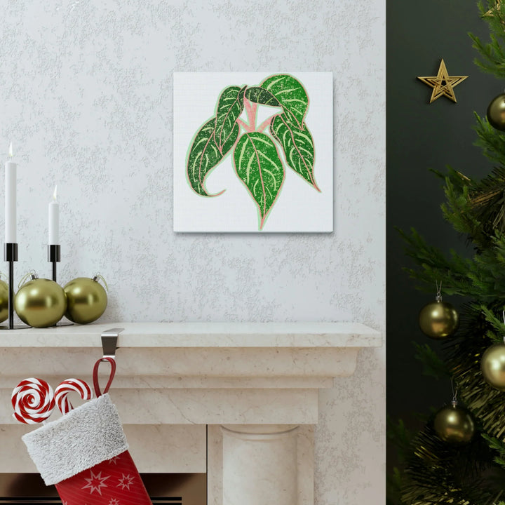 Aglaonema Plant Canvas | Sparkling Plant Artwork - Colorfast Canvas Art Print Decor