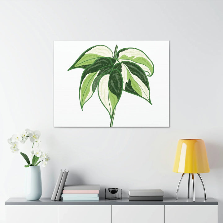 Philodendron Canvas Print - Cream Splash Variegated Plant Art on Matte Cotton Canvas