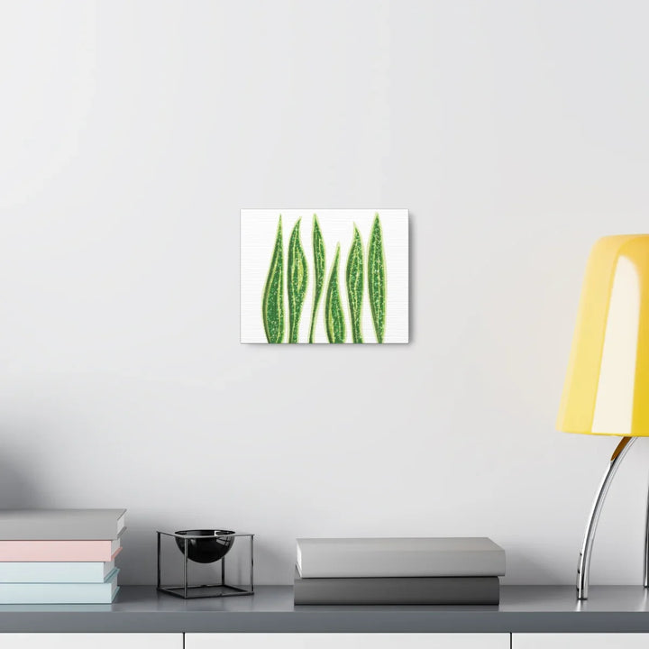 Snake Plant Canvas | Botanical Canvas Decor - Matte Finish Artwork for Living Room - Laura Christine Photography & Design