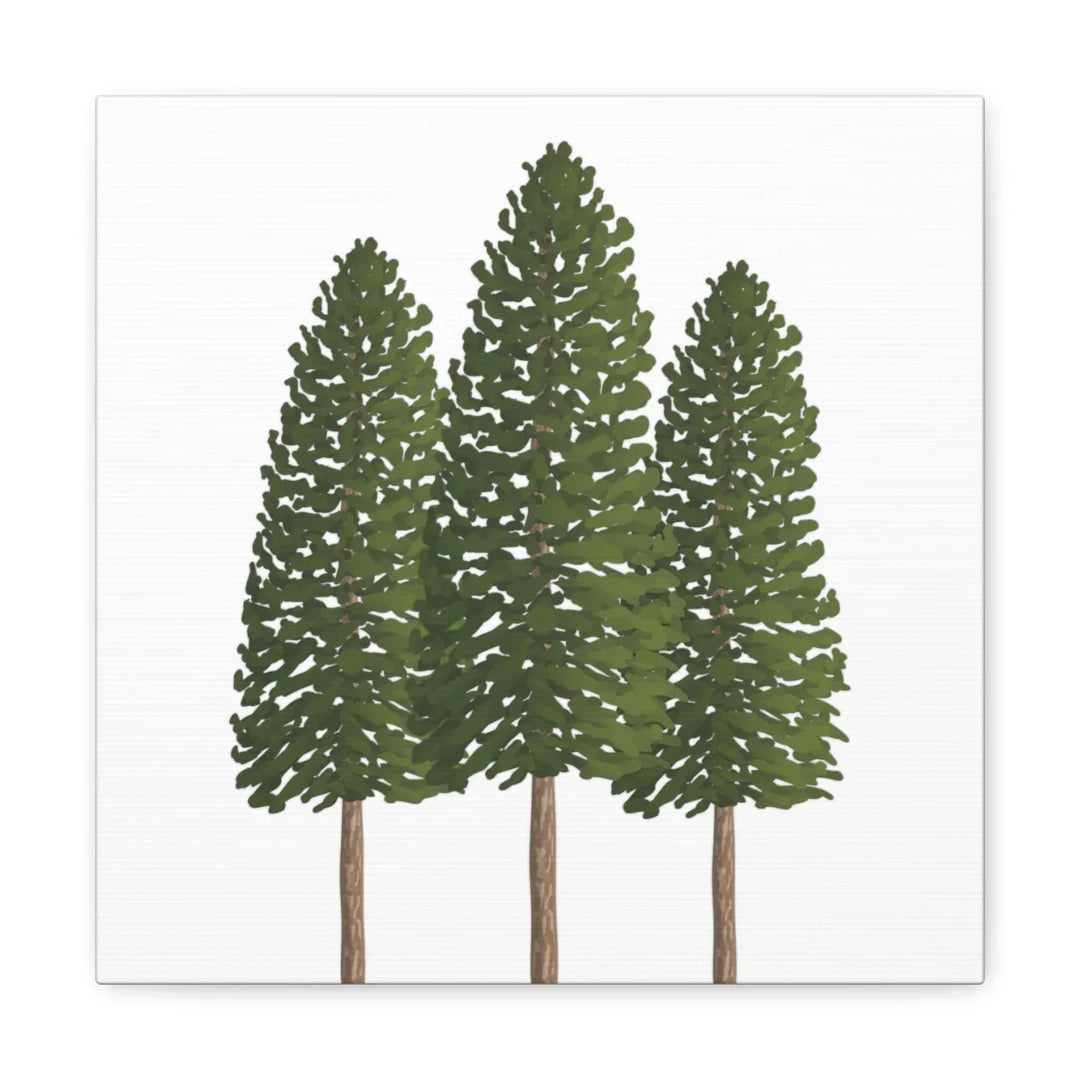 Ponderosa Pine Canvas - Large Stretched Cotton Canvas Art Print With Matte Finish