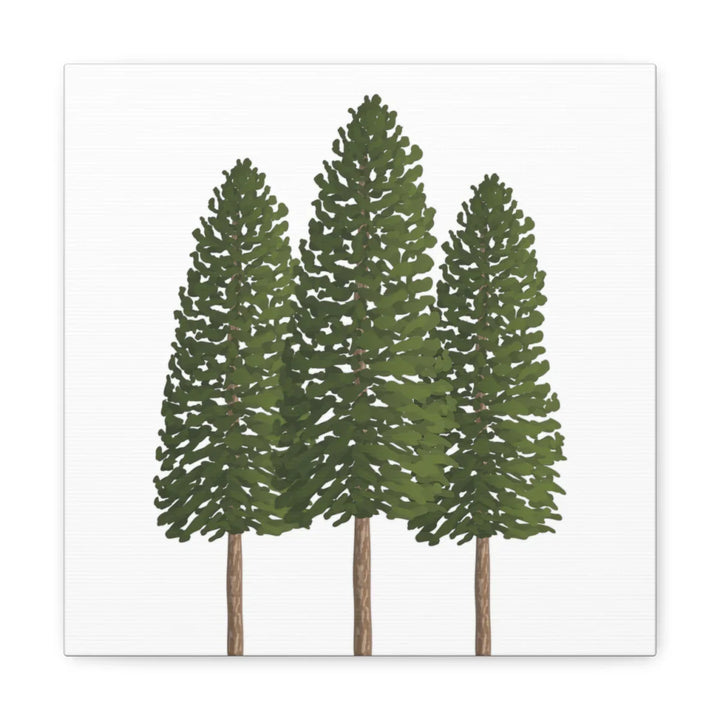 Ponderosa Pine Canvas - Large Stretched Cotton Canvas Art Print With Matte Finish