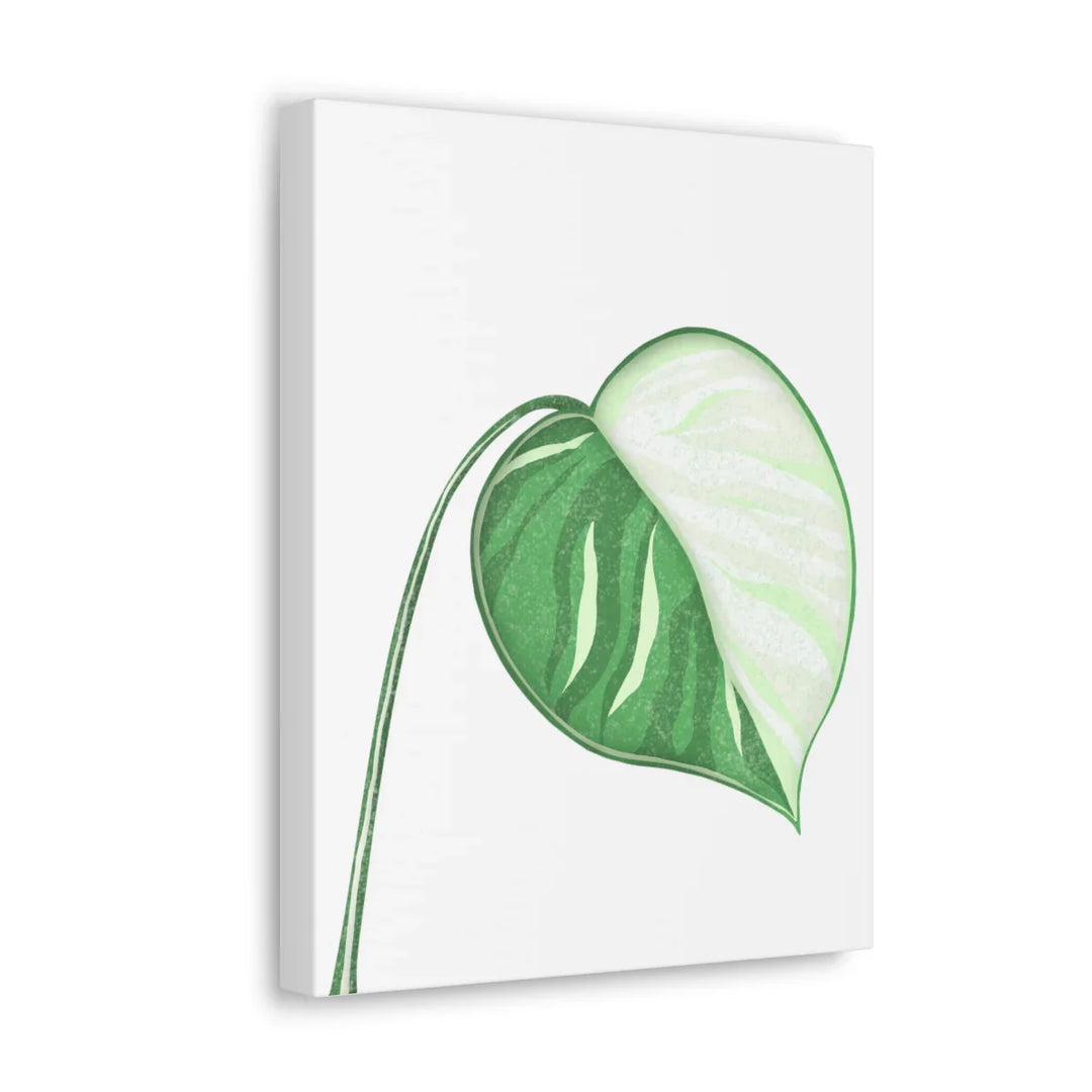 Monstera Albo Canvas | Large Tropical Leaf Artwork - Matte Finish Canvas Art Print - Laura Christine Photography & Design