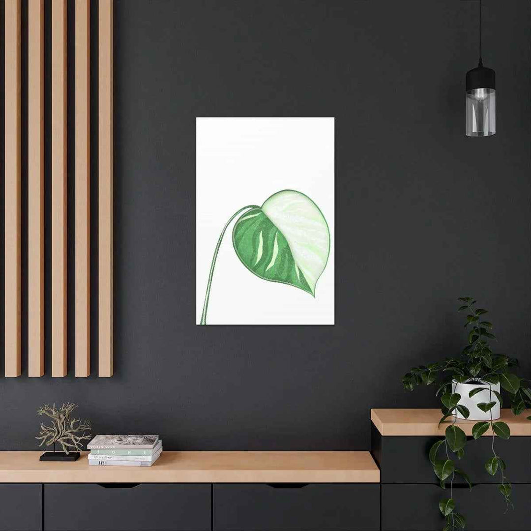 Monstera Albo Canvas | Large Tropical Leaf Artwork - Matte Finish Canvas Art Print