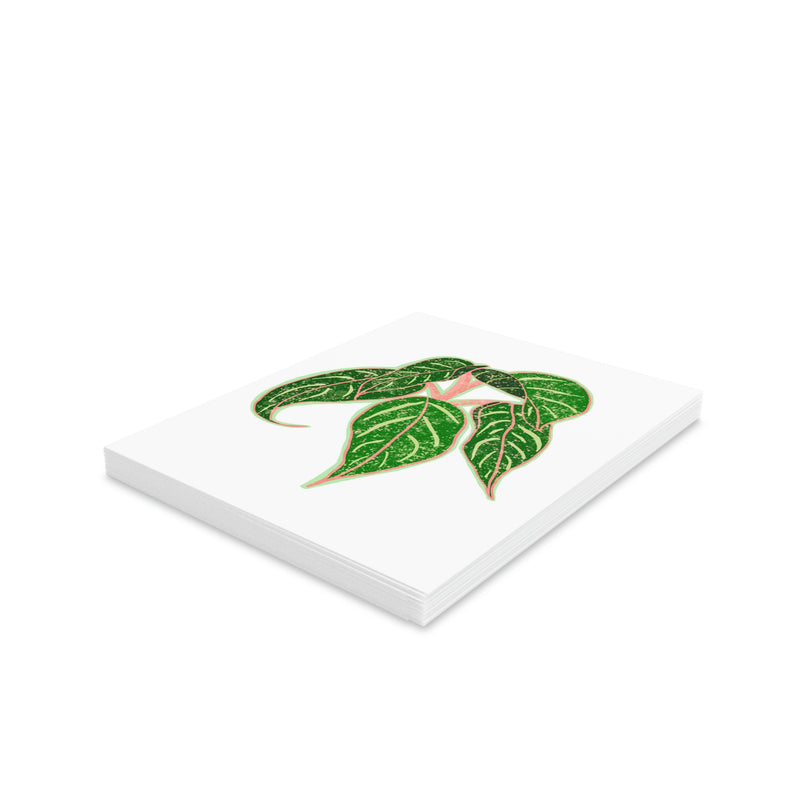 Aglaonema Sparkling Sarah Greeting Card