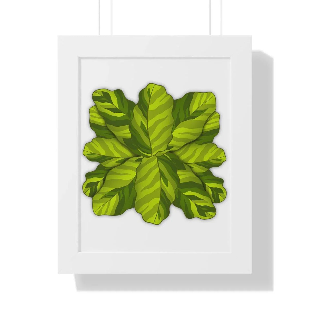 Calathea Yellow Fusion Framed Print, Poster, Laura Christine Photography & Design, Bottle, Calathea, Canvas Bag, Coffee, Drinkware, Framed, Home & Living, Indoor, Paper, Posters, Prayer Plant, Reusable, Shopping Bag, Tea, Tote Bag, Travel, Tumbler, Water, Yellow Fusion, Laura Christine Photography & Design, laurachristinedesign.com