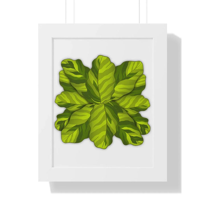 Calathea Yellow Fusion Framed Print, Poster, Laura Christine Photography & Design, Bottle, Calathea, Canvas Bag, Coffee, Drinkware, Framed, Home & Living, Indoor, Paper, Posters, Prayer Plant, Reusable, Shopping Bag, Tea, Tote Bag, Travel, Tumbler, Water, Yellow Fusion, Laura Christine Photography & Design, laurachristinedesign.com