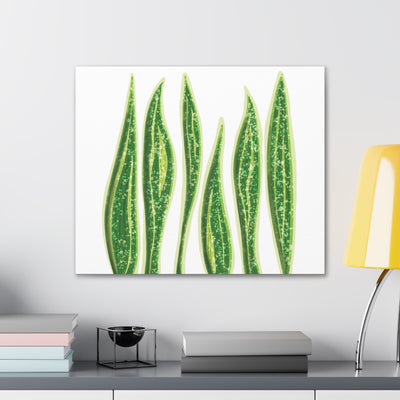 Snake Plant Canvas