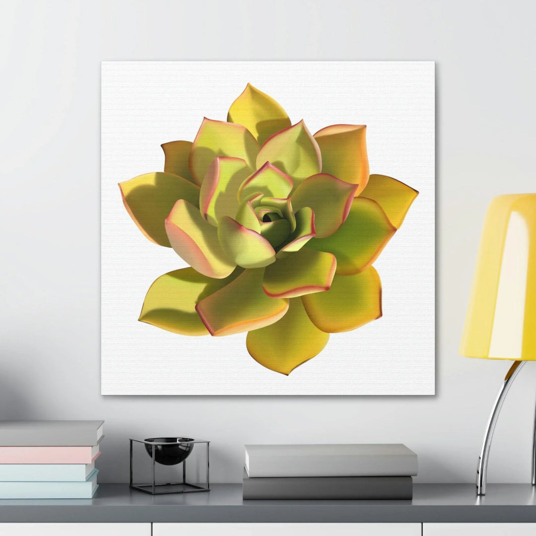 Noble Aeonium Succulent Canvas, Canvas, Printify, Art & Wall Decor, Canvas, Hanging Hardware, Home & Living, Indoor, Laura Christine Photography & Design, laurachristinedesign.com