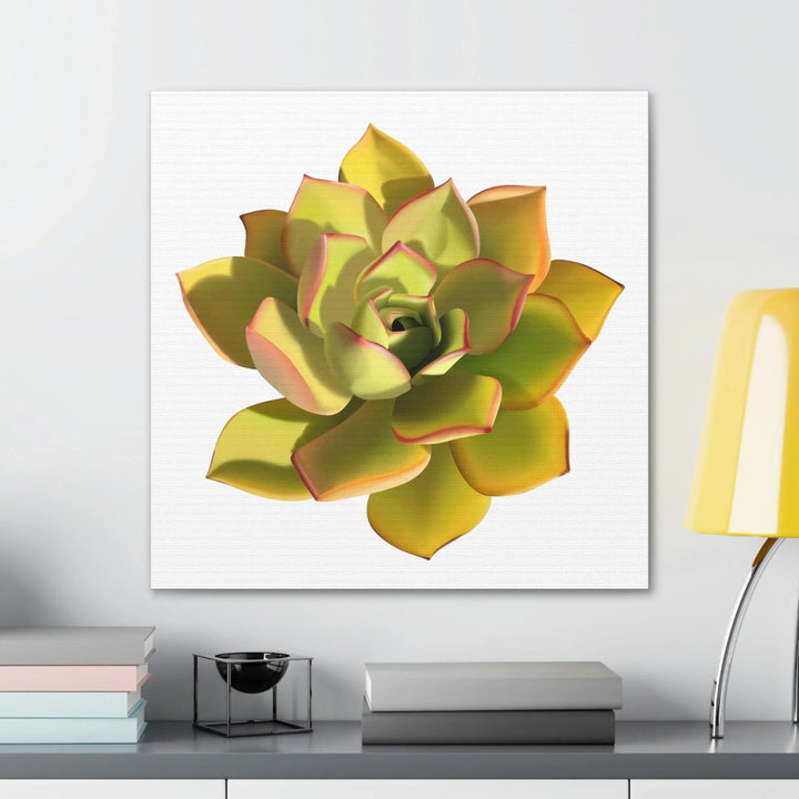 Noble Aeonium Succulent Canvas, Canvas, Printify, Art & Wall Decor, Canvas, Hanging Hardware, Home & Living, Indoor, Laura Christine Photography & Design, laurachristinedesign.com