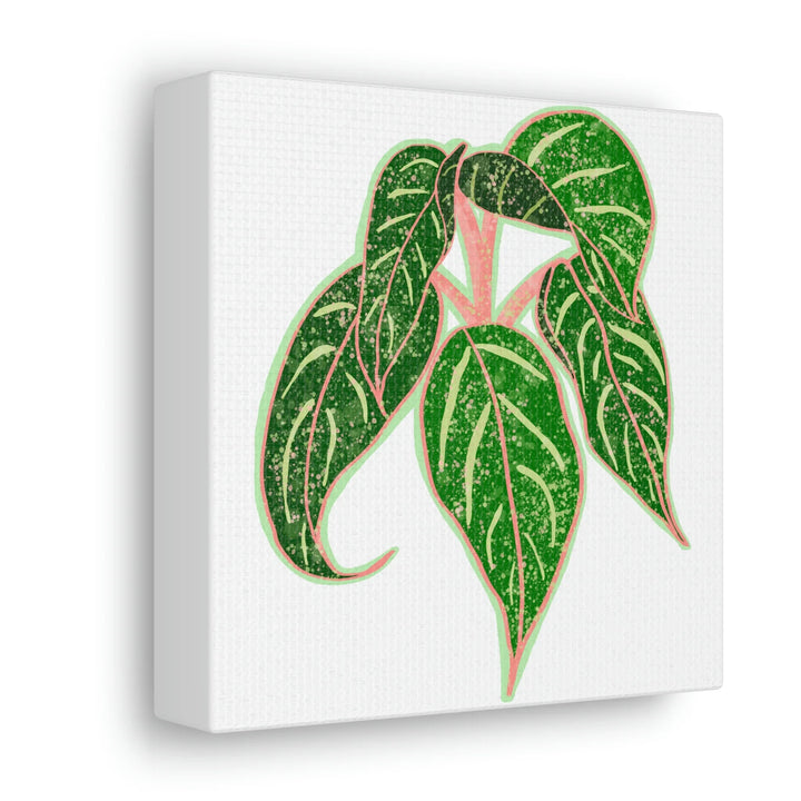 Aglaonema Plant Canvas | Sparkling Plant Artwork - Colorfast Canvas Art Print Decor