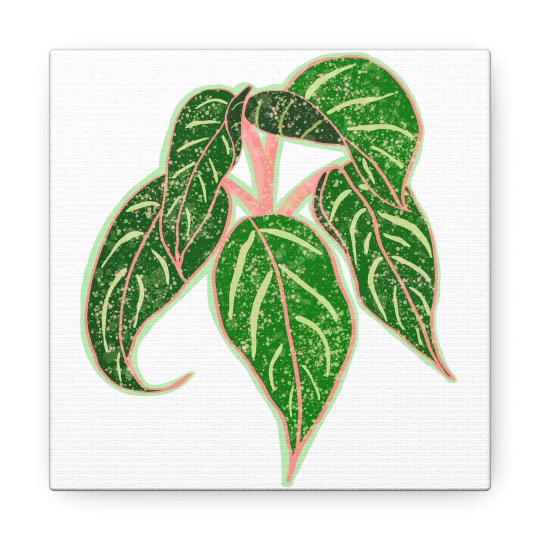 Aglaonema Plant Canvas | Sparkling Plant Artwork - Colorfast Canvas Art Print Decor