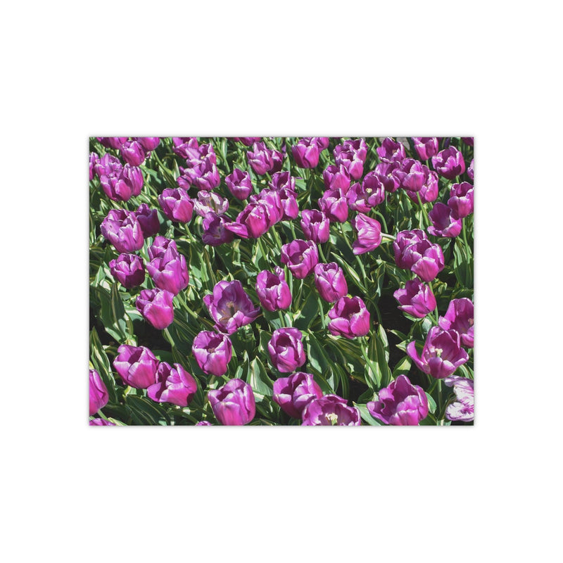 Purple Prince Charles tulips - Photo Poster, Poster, Printify, Art & Wall Decor, Home & Living, Paper, Poster, Posters, Laura Christine Photography & Design, laurachristinedesign.com