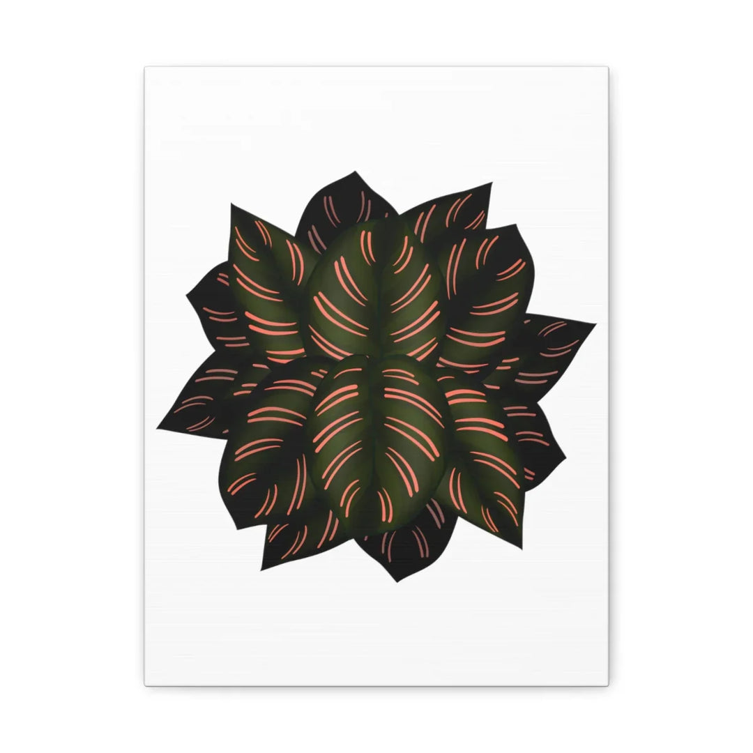 Calathea Pinstripe Canvas – Botanical Canvas Art Print | Matte Finish Wall Decor