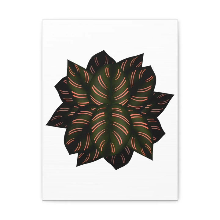 Calathea Pinstripe Canvas – Botanical Canvas Art Print | Matte Finish Wall Decor