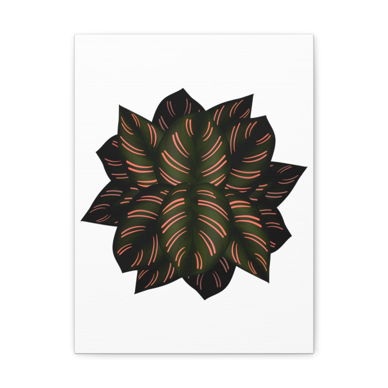 Calathea Pinstripe Canvas