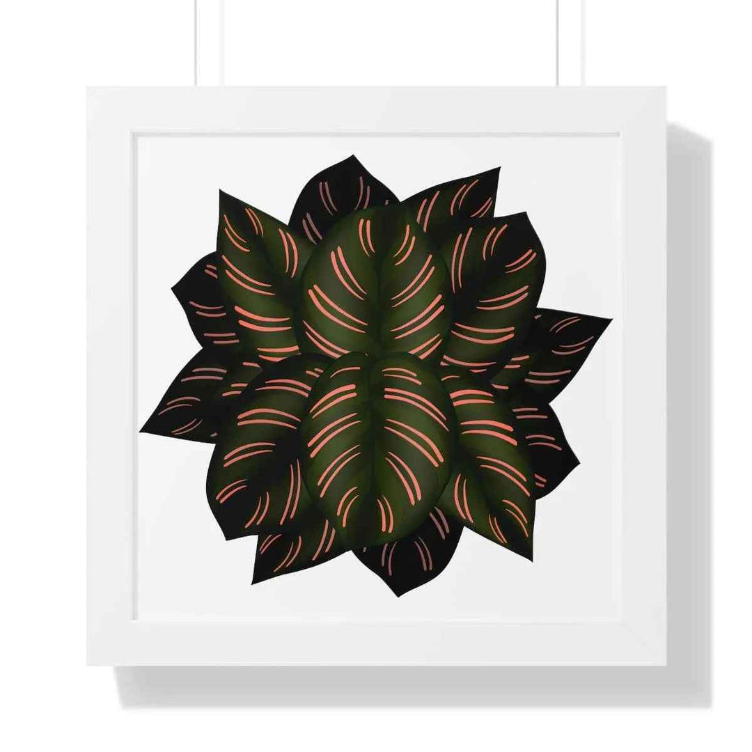 Calathea Pinstripe Print - Framed Botanical Art With Matte Finish & Acrylic Cover