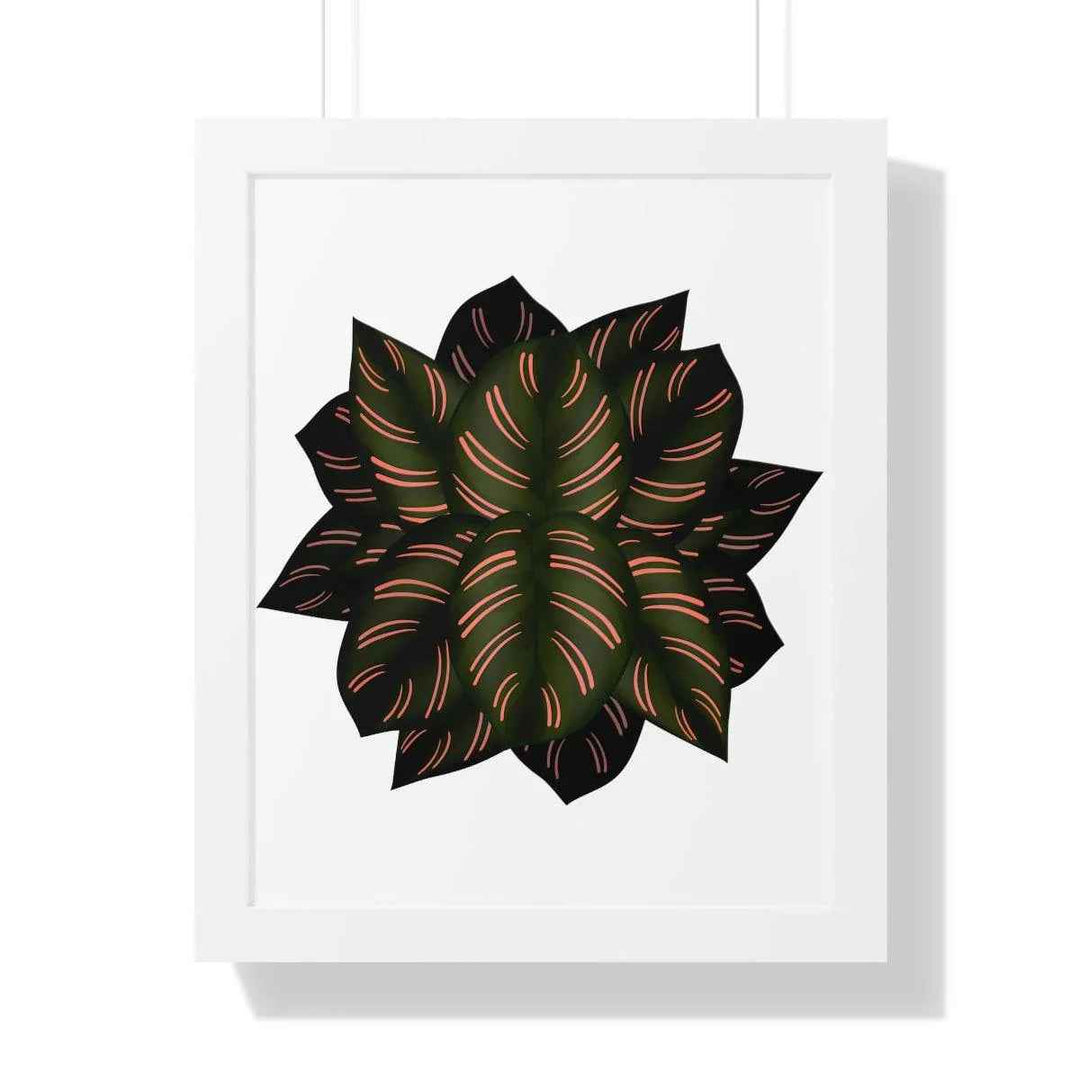 Calathea Pinstripe Print - Framed Botanical Art With Matte Finish & Acrylic Cover