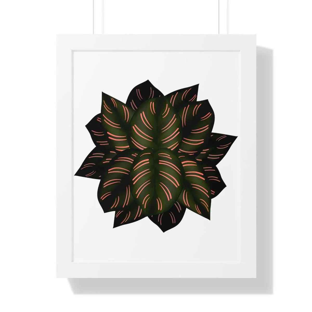 Calathea Pinstripe Print - Framed Botanical Art With Matte Finish & Acrylic Cover