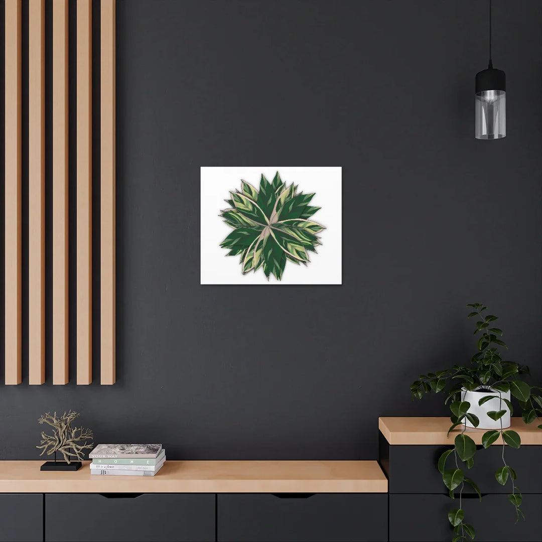 Stromanthe Triostar Canvas - Pastel Stripe Canvas Art Print With Vivid Color Artwork - Laura Christine Photography & Design