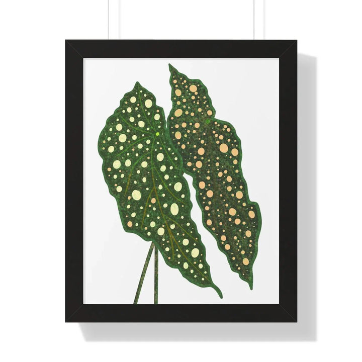 Begonia Maculata Framed Print, Poster, Laura Christine Photography & Design, Framed, Home & Living, Indoor, Paper, Posters, Laura Christine Photography & Design, laurachristinedesign.com