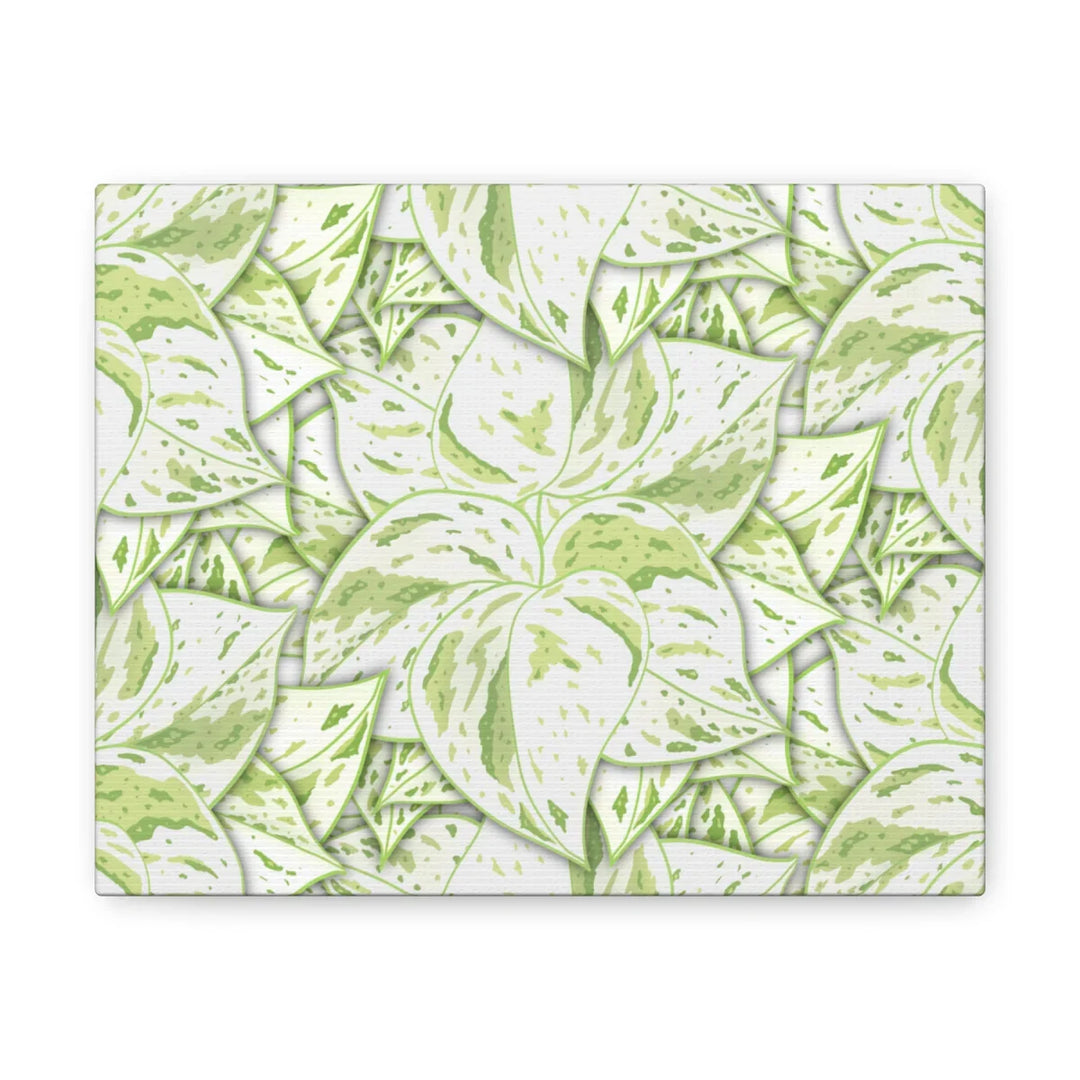 Snow Queen Pothos Canvas – Matte Finish Canvas Art Print | Variegated Botanical Wall Decor