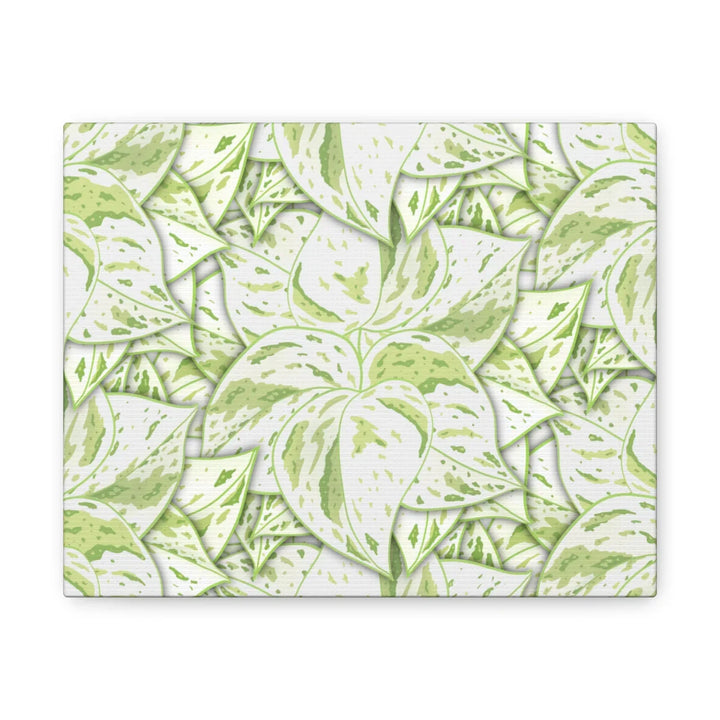 Snow Queen Pothos Canvas – Matte Finish Canvas Art Print | Variegated Botanical Wall Decor