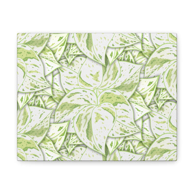 Snow Queen Pothos Canvas