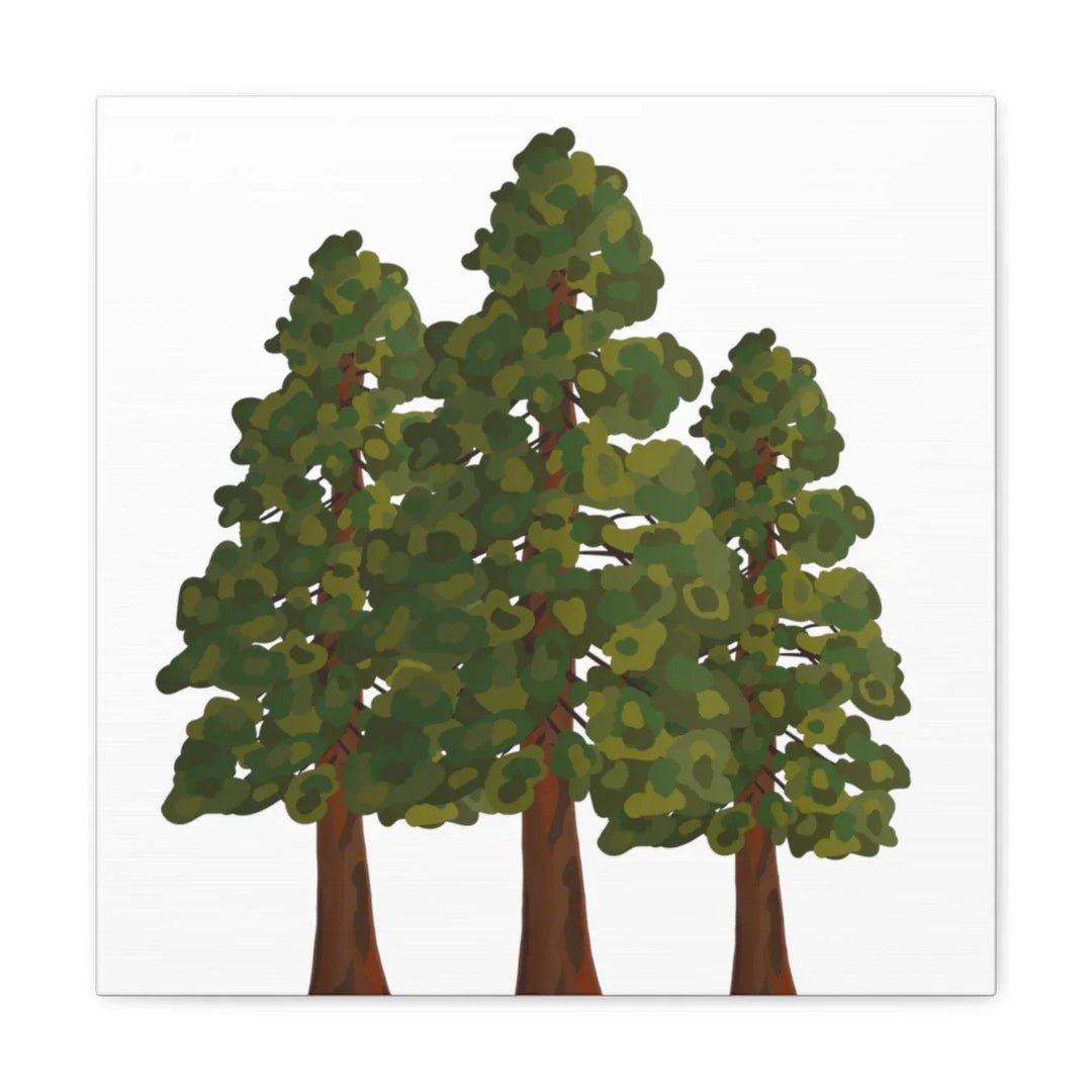 Coastal Redwoods Canvas - Stretched Cotton Canvas Art Print | Matte Finish Wall Hanging Artwork