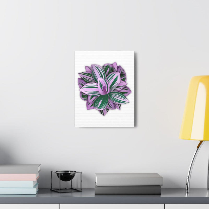 Tradescantia Nanouk Canvas, Canvas, Laura Christine Photography & Design, Art & Wall Decor, Canvas, Hanging Hardware, Home & Living, Indoor, Laura Christine Photography & Design, 