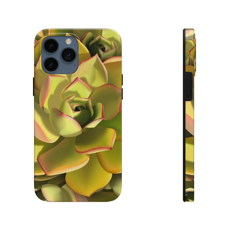 Noble Aeonium Succulent Phone Case, Phone Case, Printify, Accessories, Glossy, iPhone Cases, Matte, Phone accessory, Phone Cases, Samsung Cases, Laura Christine Photography & Design, laurachristinedesign.com