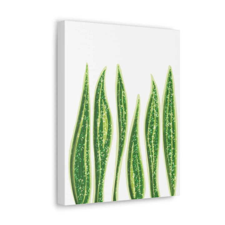 Snake Plant Canvas | Botanical Canvas Decor - Matte Finish Artwork for Living Room - Laura Christine Photography & Design