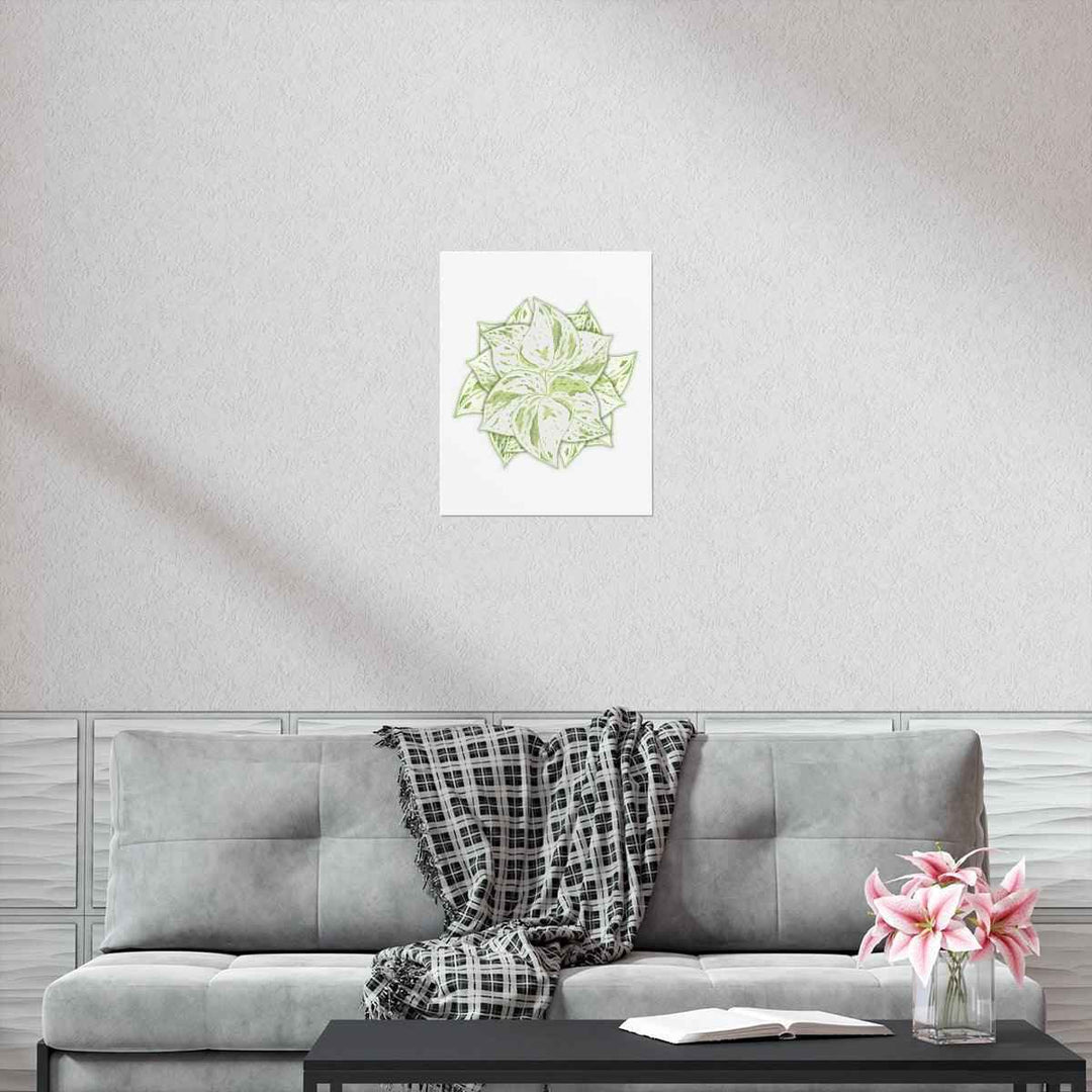 Snow Queen Pothos Print – Variegated Pothos Art on Museum Grade Paper Unframed