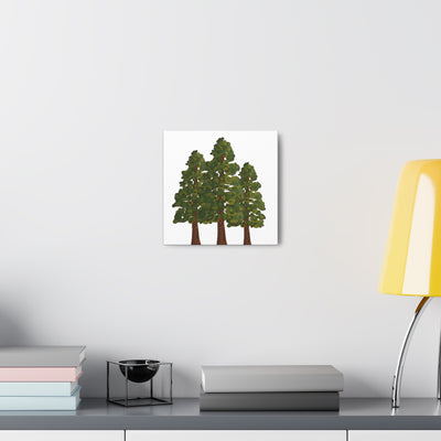 Coastal Redwoods Canvas