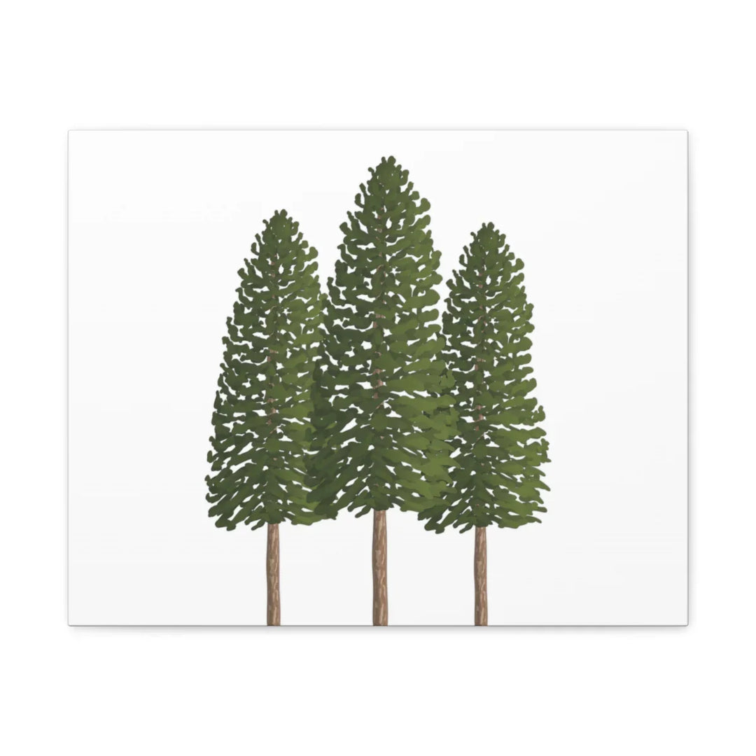 Ponderosa Pine Canvas - Large Stretched Cotton Canvas Art Print With Matte Finish