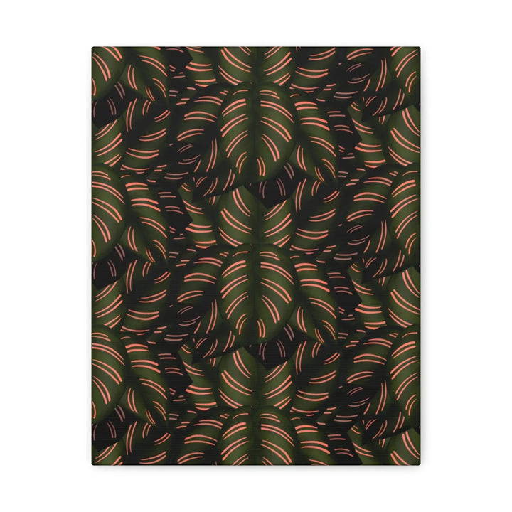 Calathea Pinstripe Canvas – Botanical Canvas Art Print | Matte Finish Wall Decor