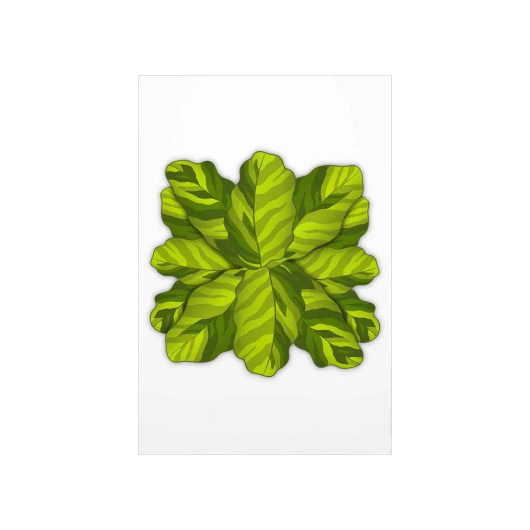 Calathea Yellow Fusion Print – Botanical Wall Art on Museum-Grade Paper Unframed