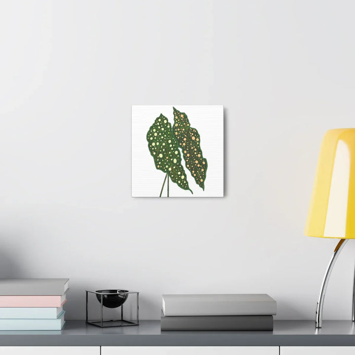 Begonia Maculata Canvas | Premium Canvas Art Print - Matte Finish, Durable Wall Decor - Laura Christine Photography & Design