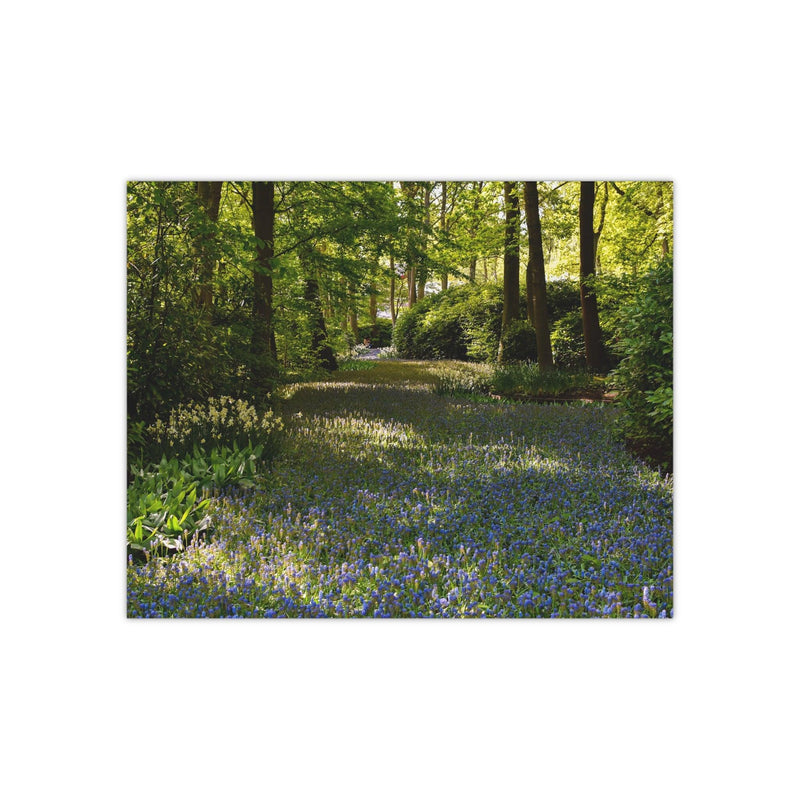 Forest flower path - Photo Poster, Poster, Printify, Art & Wall Decor, Home & Living, Paper, Poster, Posters, Laura Christine Photography & Design, laurachristinedesign.com